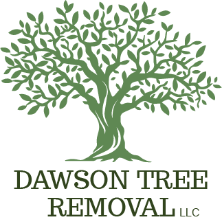 Dawson Tree Removal - Dawsonville, Georgia